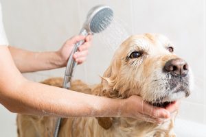 golden bath