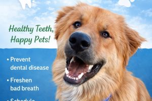 February is National Pet Dental Care month