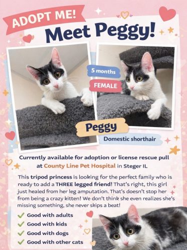 Adoptions