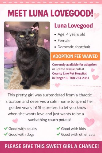 Adoptions