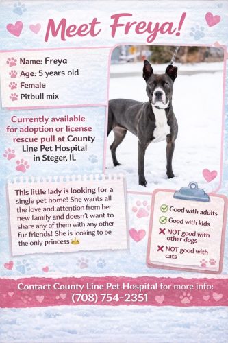 Adoptions