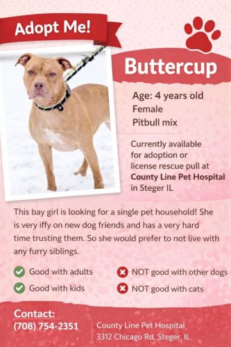 Adoptions