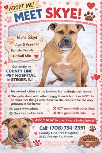 Adoptions