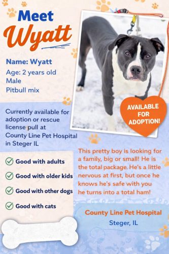 Adoptions
