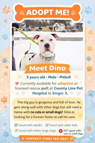 Adoptions