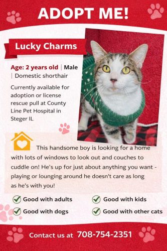 Adoptions